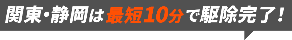 関東全域は最短10分で駆除完了！
